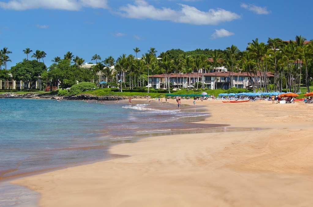 Wailea Beach Villas Kihei Nature photo